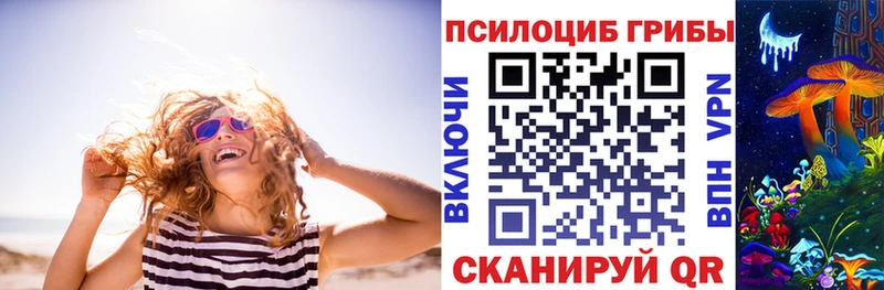 Галлюциногенные грибы Psilocybe  Кизел 