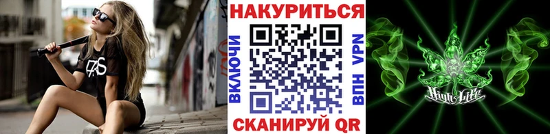 Бошки марихуана сатива  Кизел 